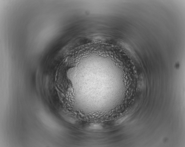 X0000093770573200710231315