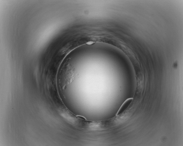 X0000093770574200710231315