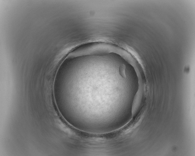 X0000093770577200710231314