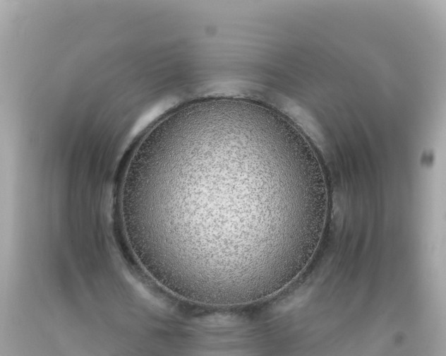 X0000093770578200710231314