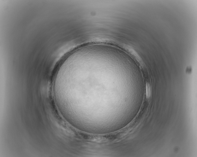 X0000093770579200710231314