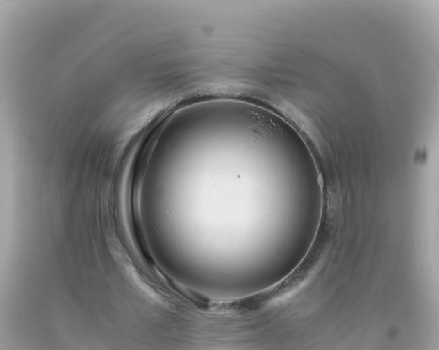 X0000093770581200710231314