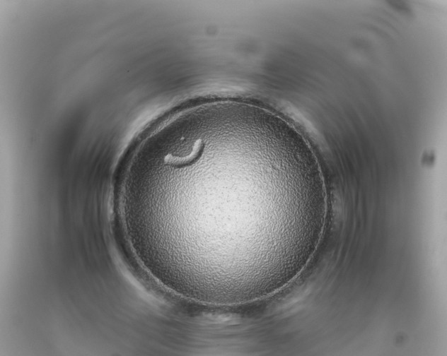 X0000093770582200710231314