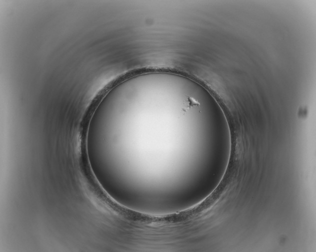 X0000093770584200710231314