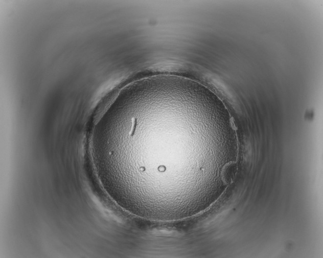 X0000093770586200710231314