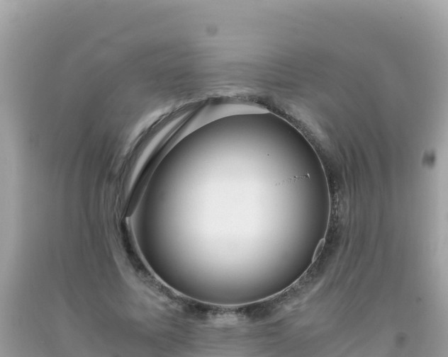 X0000093770587200710231314