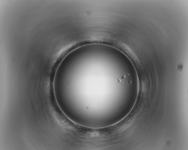 X0000093770588200710231314