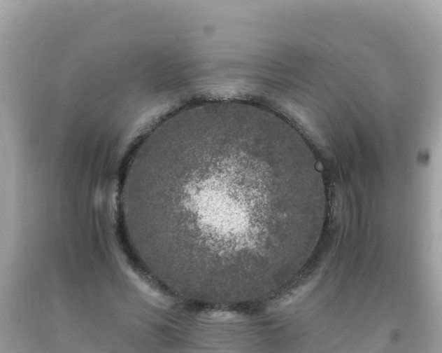 X0000093770590200710231314