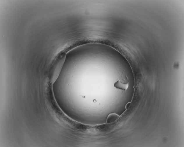 X0000093770591200710231314