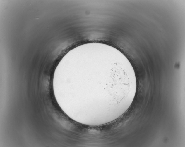 X0000093770592200710231314