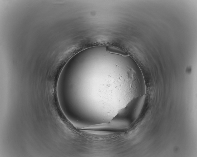 X0000093770593200710231314