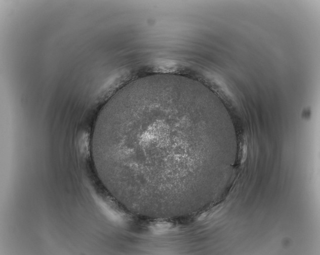 X0000093770598200710231314