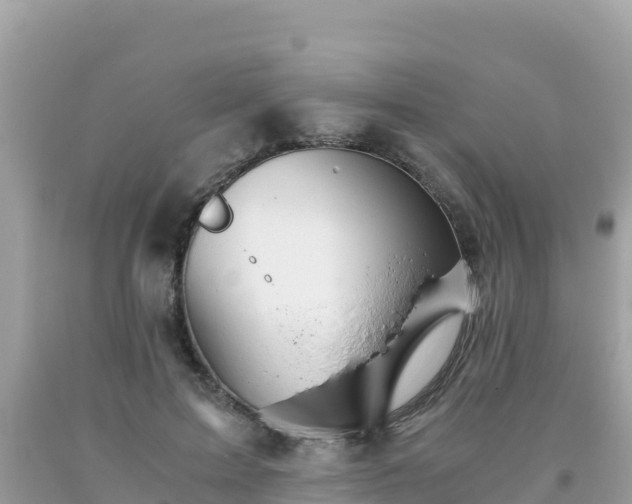 X0000093770599200710231314