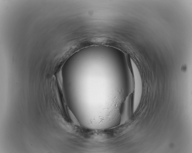 X0000093770601200710231314