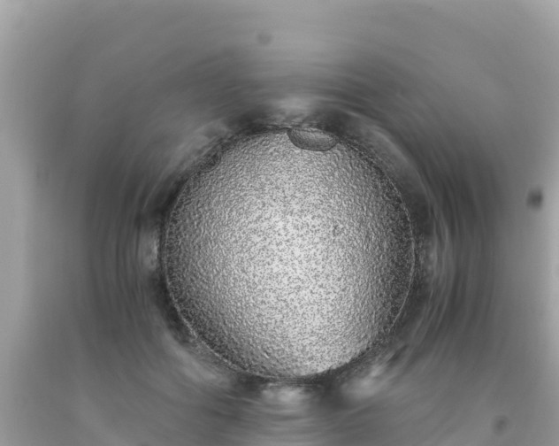 X0000093770602200710231314