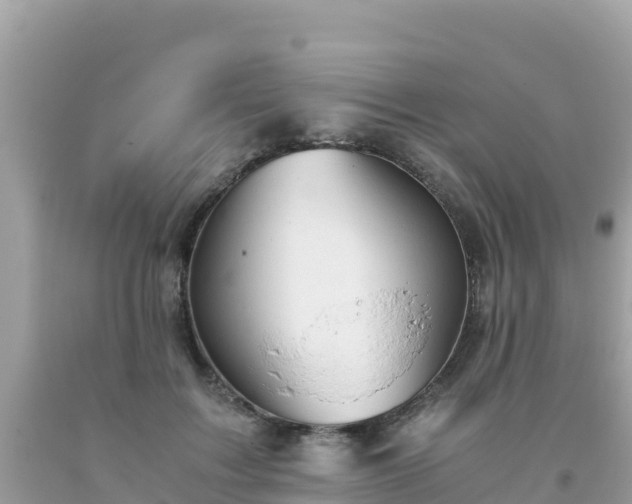 X0000093770603200710231314