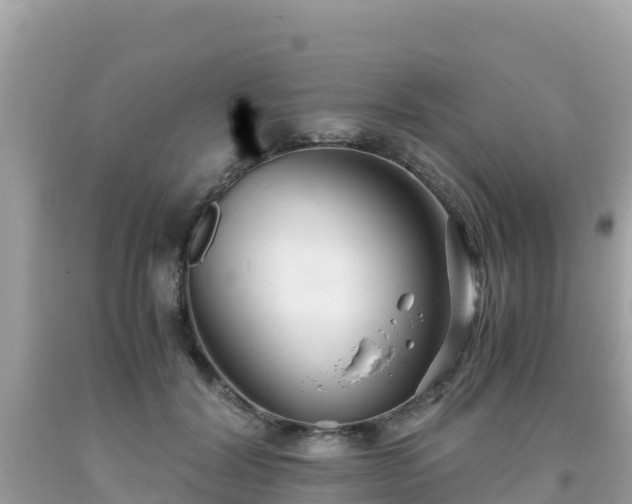 X0000093770604200710231314