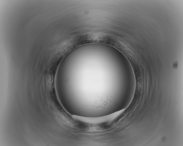 X0000093770605200710231314