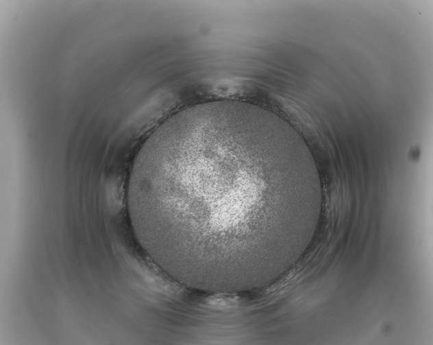 X0000093770606200710231314