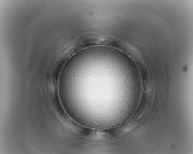 X0000093770607200710231314