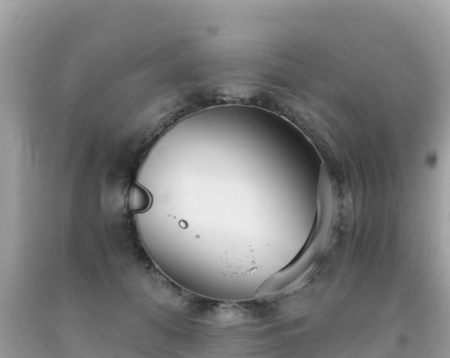 X0000093770608200710231314