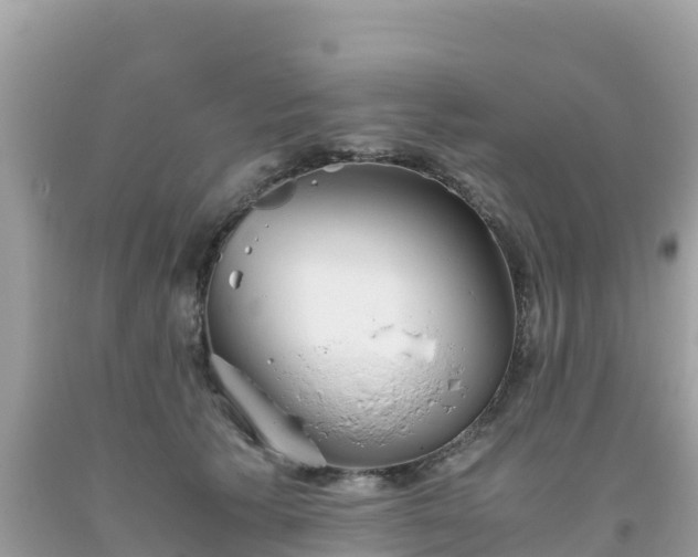 X0000093770609200710231314