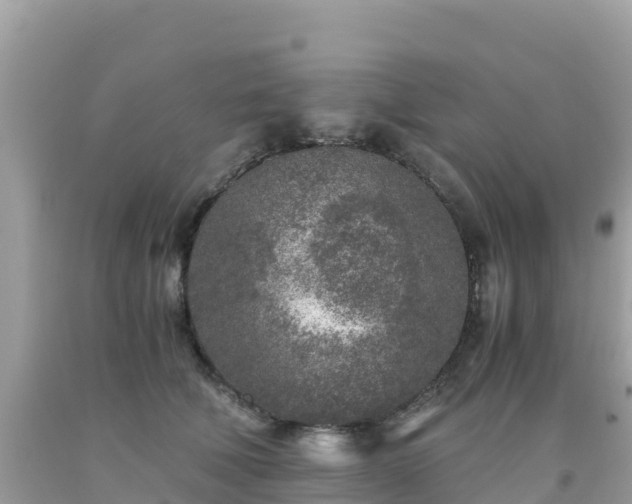 X0000093770610200710231314