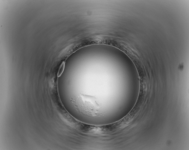 X0000093770611200710231314