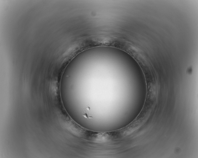 X0000093770612200710231314