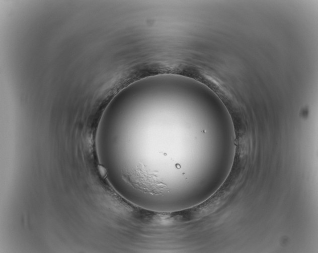 X0000093770613200710231314