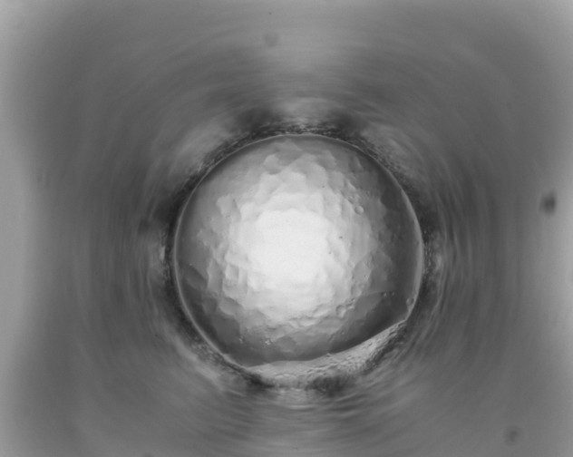 X0000093770615200710231313