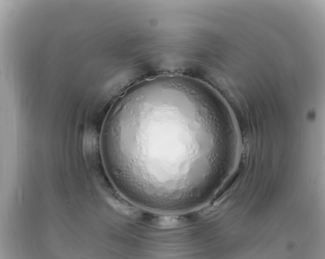 X0000093770623200710231313