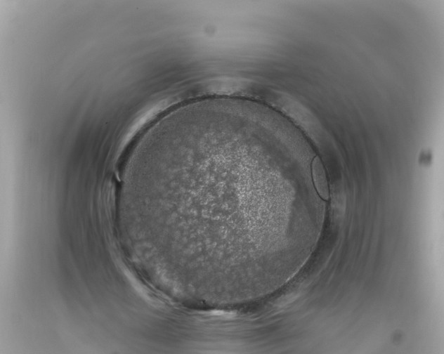 X0000093770626200710231313