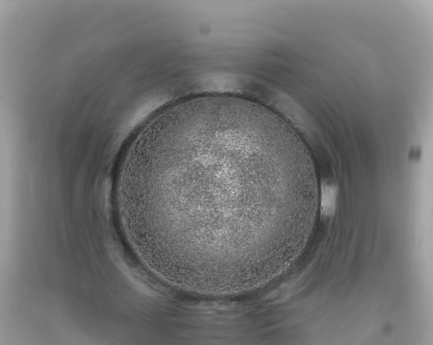 X0000093770627200710231313