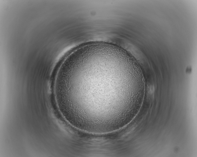 X0000093770628200710231313