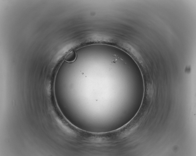 X0000093770629200710231313