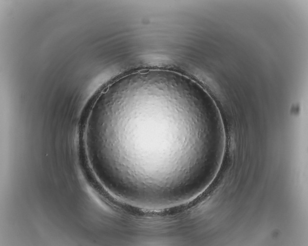 X0000093770630200710231313