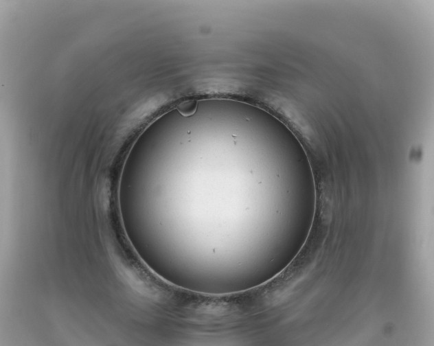 X0000093770631200710231313