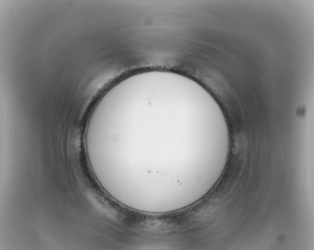 X0000093770632200710231313