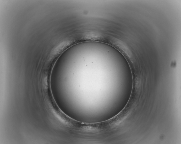 X0000093770633200710231313