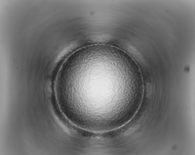 X0000093770634200710231313