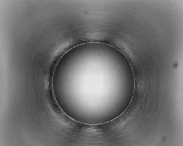 X0000093770635200710231313