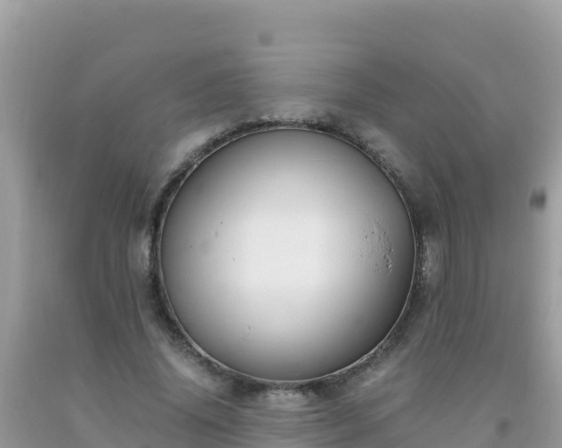 X0000093770636200710231313