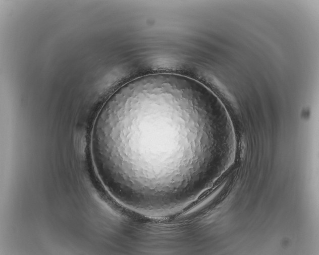 X0000093770637200710231313