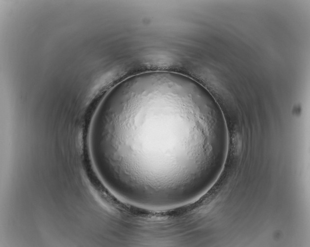 X0000093770638200710231313