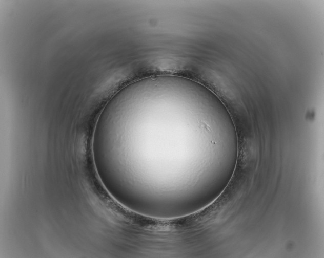 X0000093770639200710231313