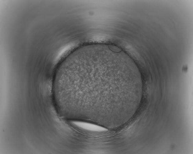 X0000093770640200710231313