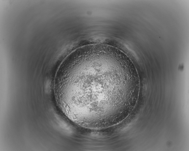 X0000093770641200710231313