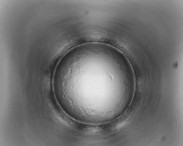 X0000093770642200710231313