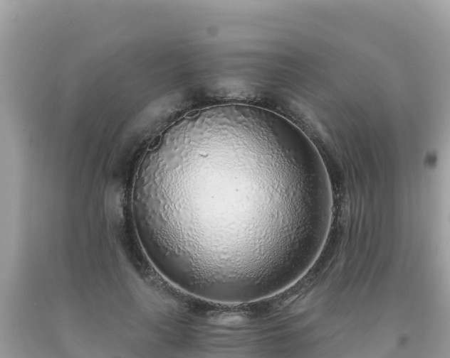 X0000093770643200710231313